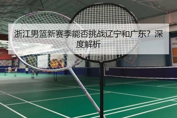 浙江男篮新赛季能否挑战辽宁和广东？深度解析
