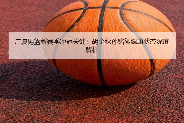 广厦男篮新赛季冲冠关键：胡金秋孙铭徽健康状态深度解析