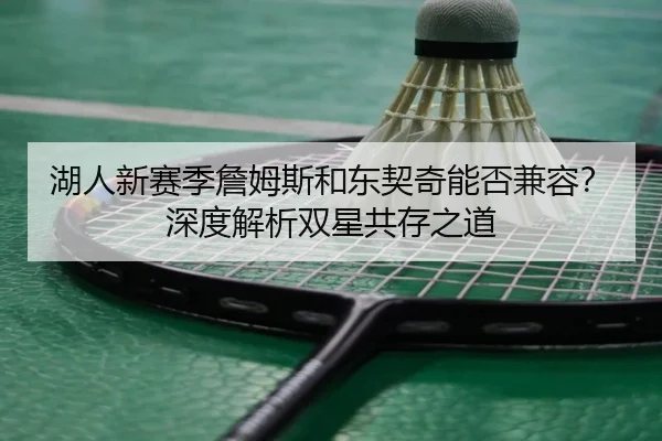 湖人新赛季詹姆斯和东契奇能否兼容？深度解析双星共存之道
