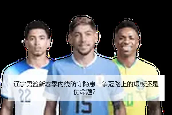 辽宁男篮新赛季内线防守隐患：争冠路上的短板还是伪命题？